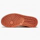 Women/Men Air Jordan 1 Mid Apricot Orange Apricot Agate Terra Blush DH4270-800 Jordan Shoes