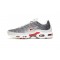 Men Nike Air Max Plus Tn Grey and White Shoes