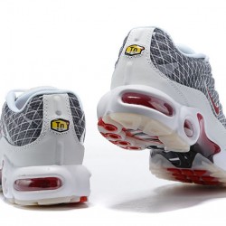 Men Nike Air Max Plus Tn Grey and White Shoes