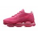 Women Nike Air Max Scorpion Pink DR0888-008 Shoes