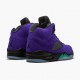 Air Jordan 5 Retro "Alternate Grape" Grape Ice/Black-Clear-New Emer 136027 500 AJ5 Jordan