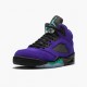 Air Jordan 5 Retro "Alternate Grape" Grape Ice/Black-Clear-New Emer 136027 500 AJ5 Jordan