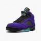 Air Jordan 5 Retro Alternate Grape Grape Ice/Black-Clear-New Emer 136027 500 AJ5 Jordan