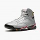 Air Jordan 7 Retro "Reflections of A Champion" Reflect Silver/Cardinal Red-Bl BV6281 006 AJ7 Jordan