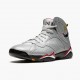 Air Jordan 7 Retro Reflections of A Champion Reflect Silver/Cardinal Red-Bl BV6281 006 AJ7 Jordan